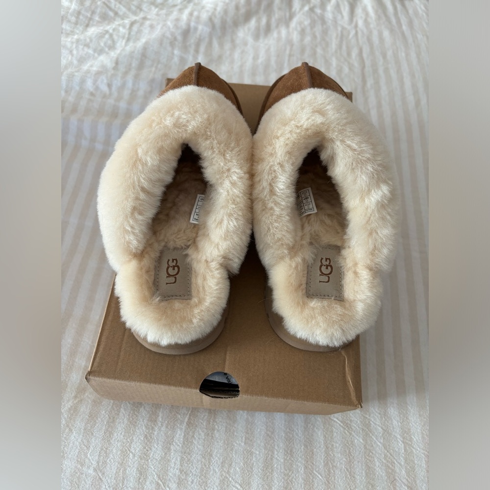 UGG Disquette